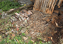 Moses Hudgin Log House