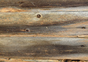 Moses Hudgin Log House