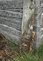 Moses Hudgin Log House