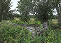 Moses Hudgin Log House