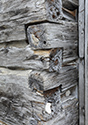 Moses Hudgin Log House