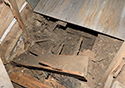 Moses Hudgin Log House
