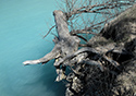 West Point Shoreline Erosion