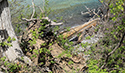 West Point Shoreline Erosion