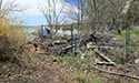 West Point Shoreline Erosion