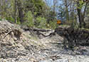 West Point Shoreline Erosion
