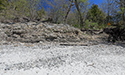 West Point Shoreline Erosion