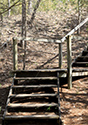 Cedar Sands Trail