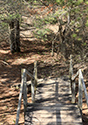 Cedar Sands Trail