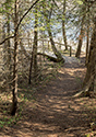 Cedar Sands Trail