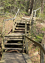 Cedar Sands Trail
