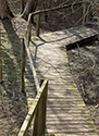 Cedar Sands Trail