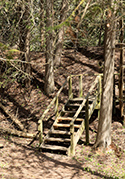 Cedar Sands Trail