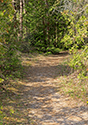 Cedar Sands Trail