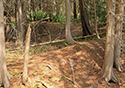 Cedar Sands Trail