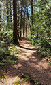 Cedar Sands Trail