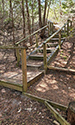 Cedar Sands Trail