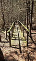 Cedar Sands Trail