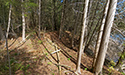 Cedar Sands Trail