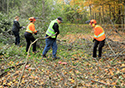 Buckthorn at West Point 2022