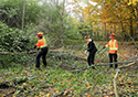 Buckthorn at West Point 2022