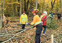 Buckthorn at West Point 2022