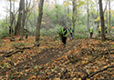 Buckthorn at West Point 2022