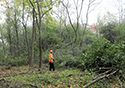 Buckthorn at West Point 2022