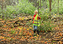 Buckthorn at West Point 2022