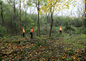 Buckthorn at West Point 2022