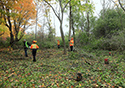 Buckthorn at West Point 2022