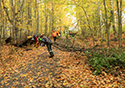 Buckthorn at West Point 2022
