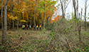 Buckthorn at West Point 2022