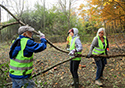 Buckthorn at West Point 2022