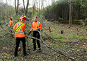 Buckthorn at West Point 2022