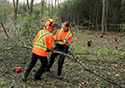 Buckthorn at West Point 2022