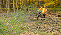 Buckthorn at West Point 2022