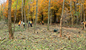 Buckthorn at West Point 2022