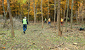 Buckthorn at West Point 2022