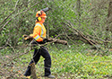 Buckthorn at West Point 2022