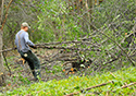 Buckthorn at West Point 2022