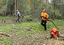 Buckthorn at West Point 2022