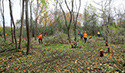 Buckthorn at West Point 2022