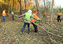 Buckthorn at West Point 2022