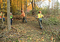 Buckthorn at West Point 2022