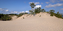 Fall Views of Sandbanks Dunes