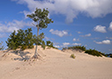 Fall Views of Sandbanks Dunes
