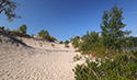 Fall Views of Sandbanks Dunes