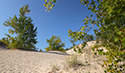 Fall Views of Sandbanks Dunes