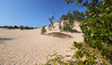 Fall Views of Sandbanks Dunes